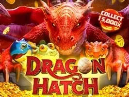 Dragon Hatch
